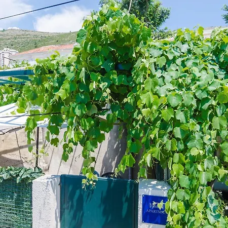 Adea - One Bedroom With Terrace