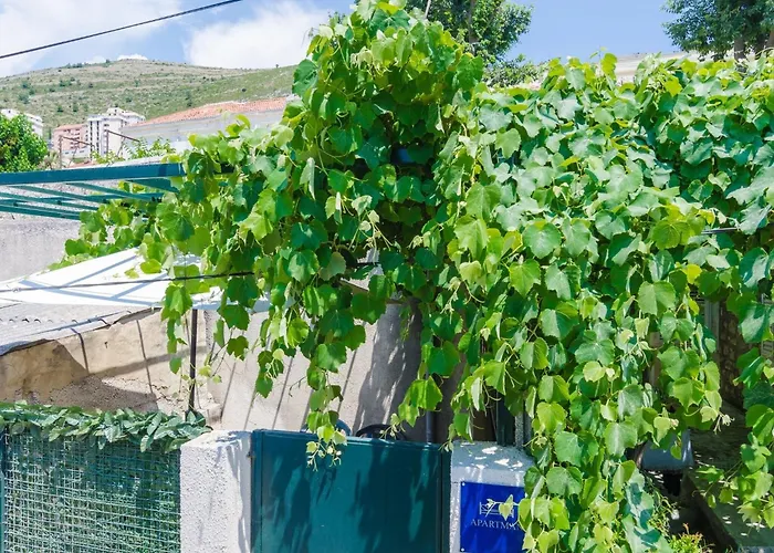 Adea - One Bedroom With Terrace